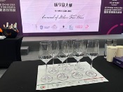 Masterclass Carnival